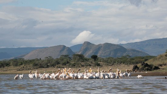 Soysambu Conservancy - Image 6