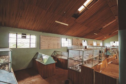 Treasures of Africa Museum - Image 5