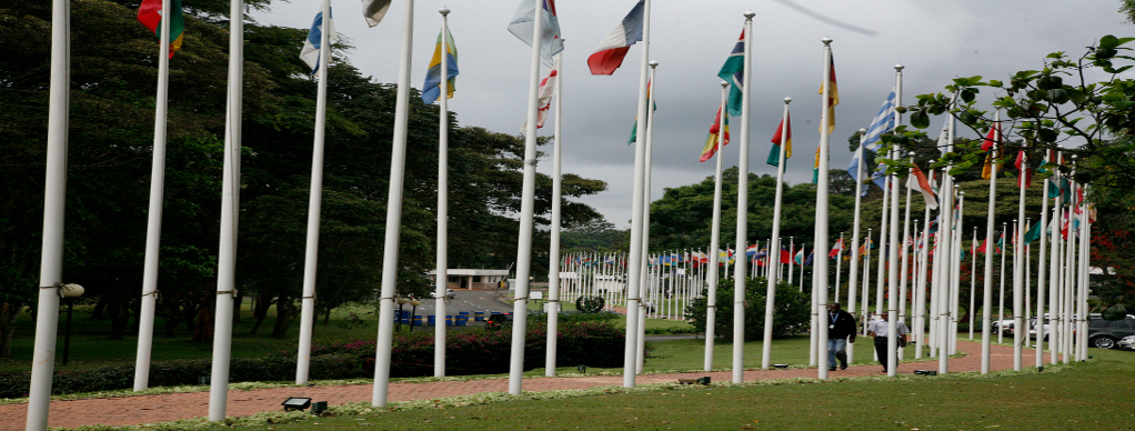 United Nations Visitors' Service - Image 4