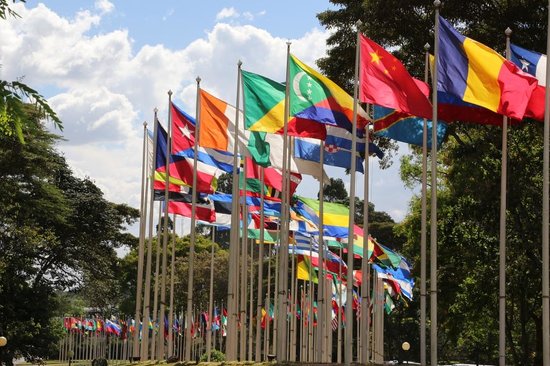 United Nations Visitors' Service - Image 3