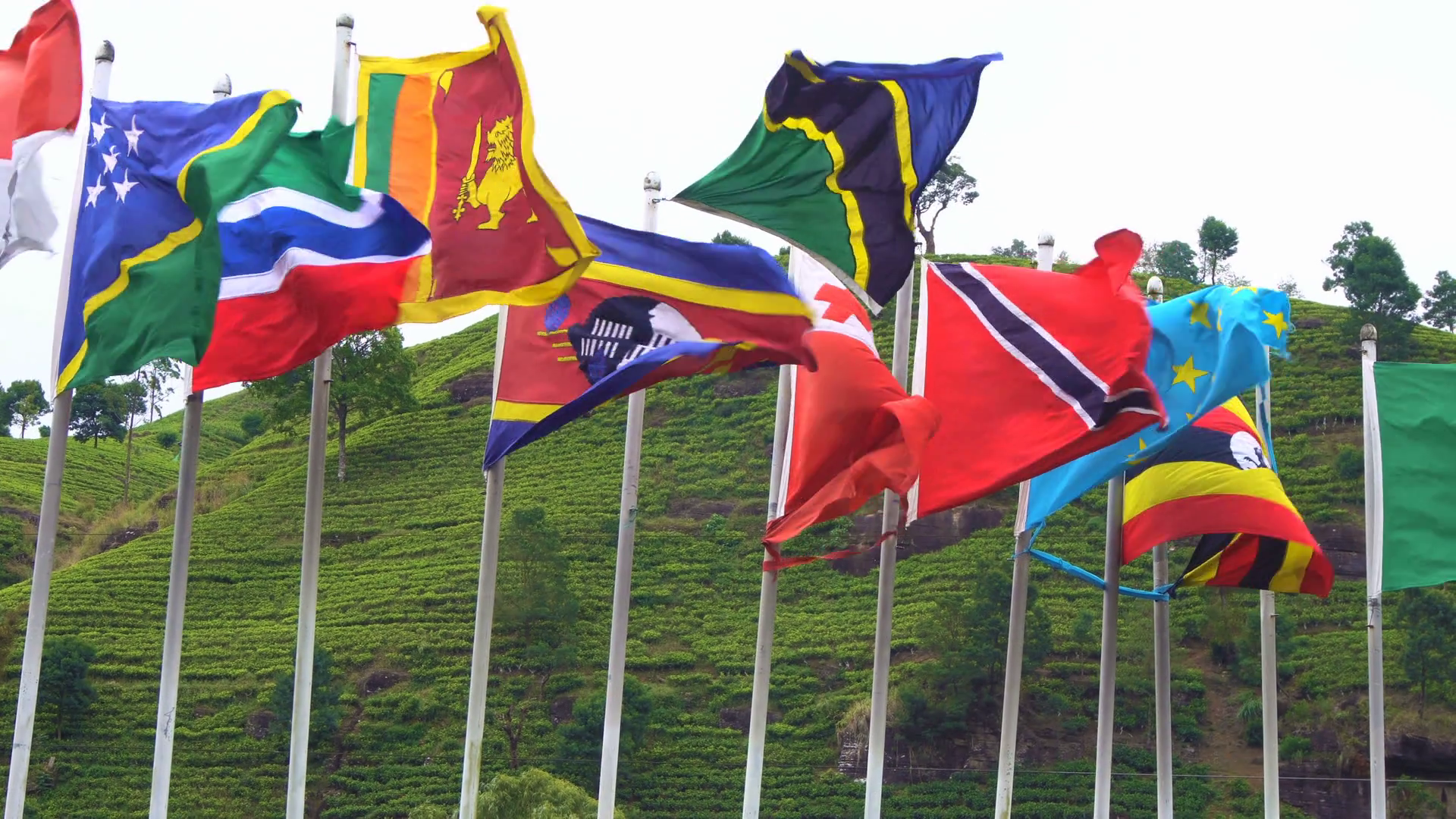 United Nations Visitors' Service
