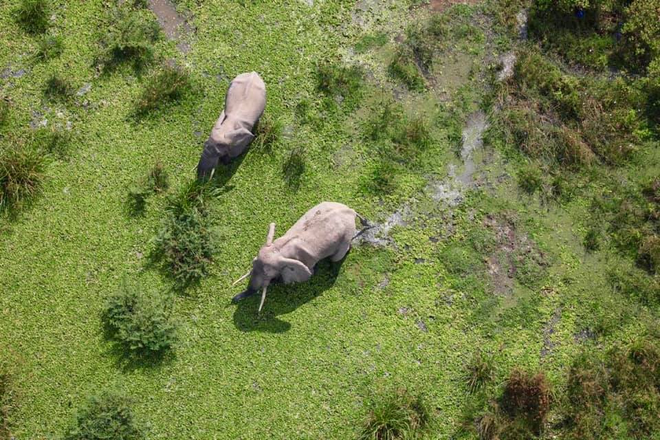 Virunga National Park - Image 5