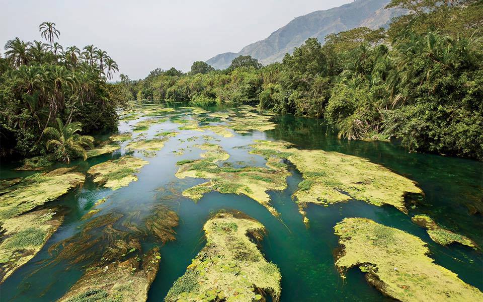 Virunga National Park - Image 4