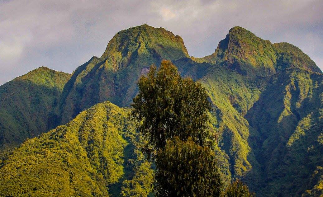 Virunga National Park - Image 3