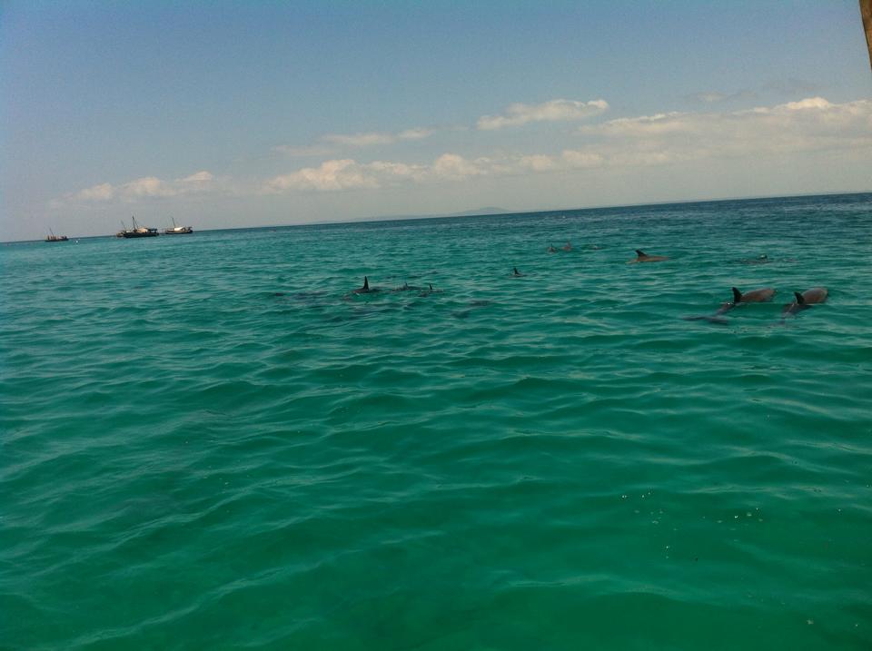 Wasini Island - Image 3