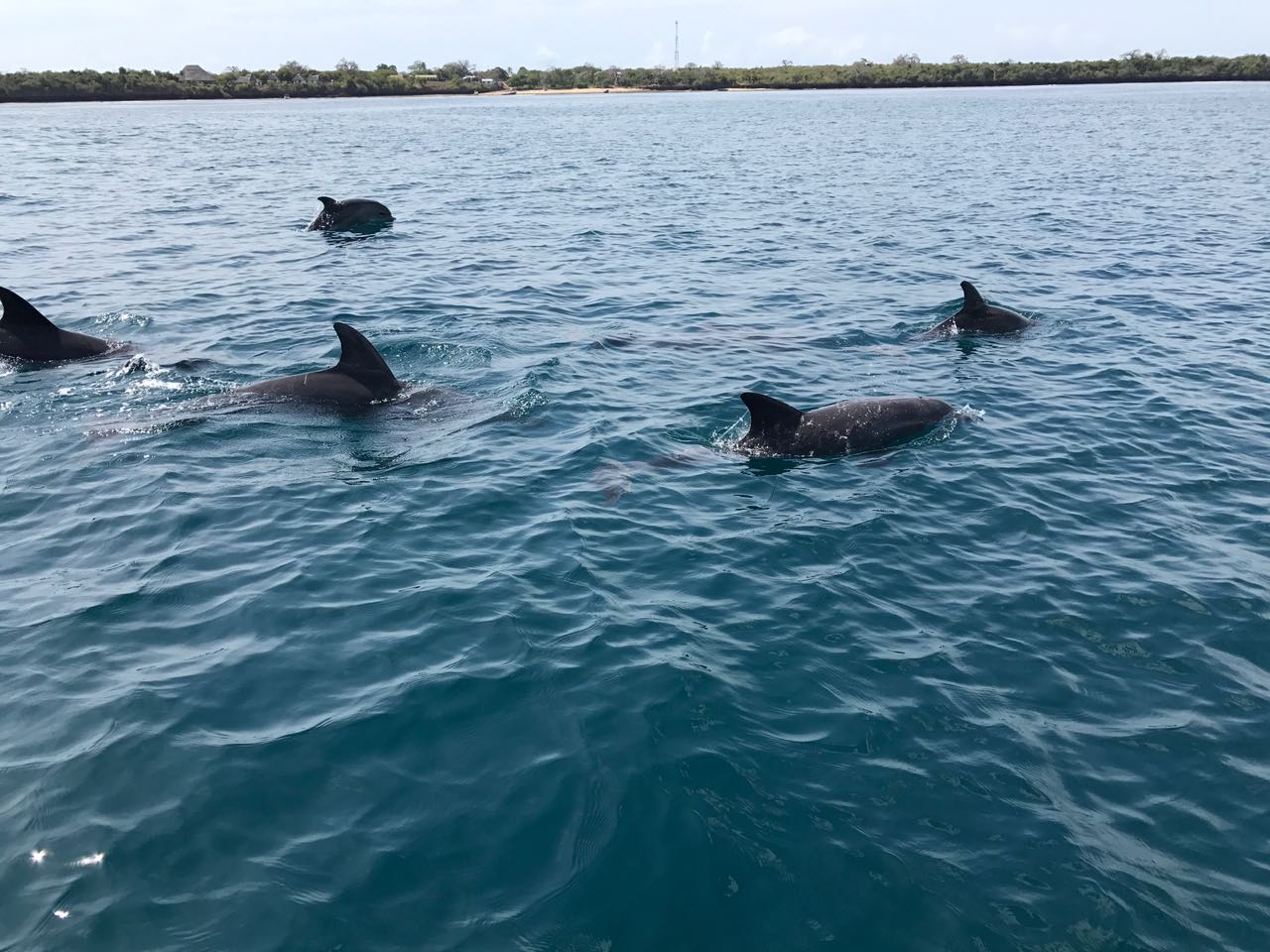 Wasini Island