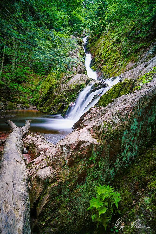 Widelife, waterfall - Image 4