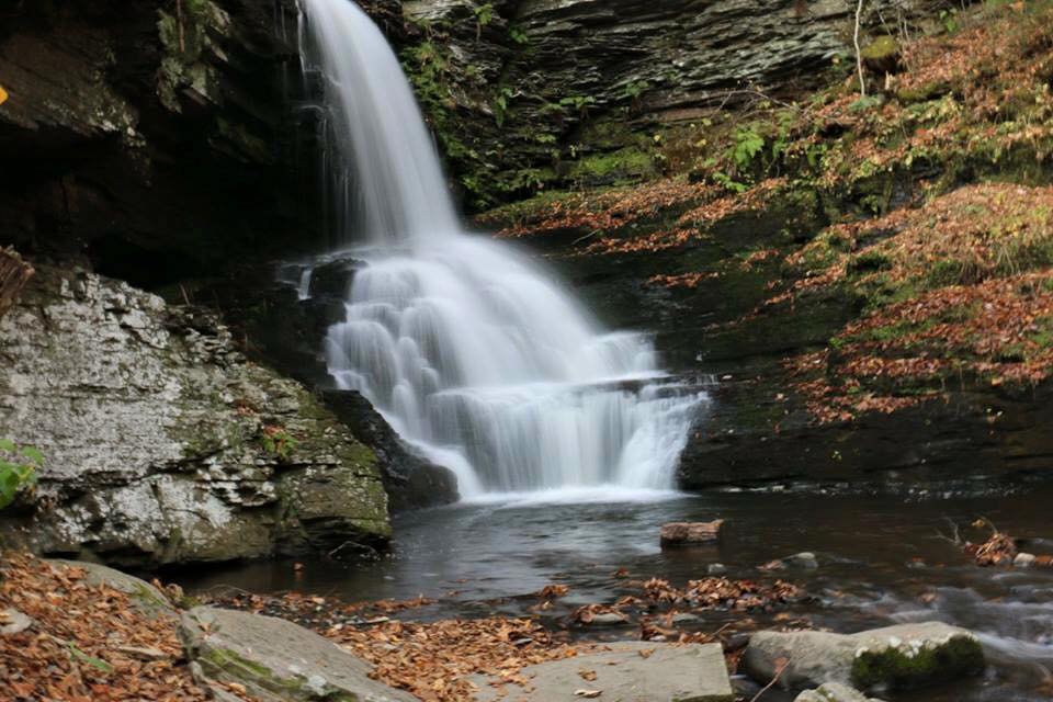 Widelife, waterfall - Image 5