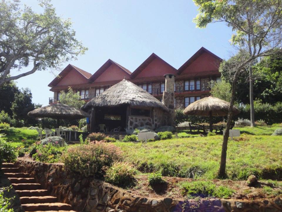 Active Edge, Kerio View - Image 4