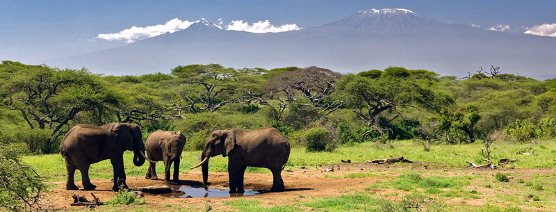 Chyulu Hills National Park - Image 6