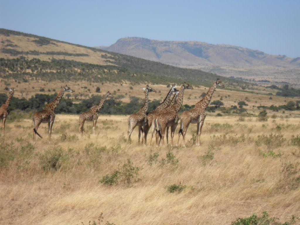 Chyulu Hills National Park - Image 7