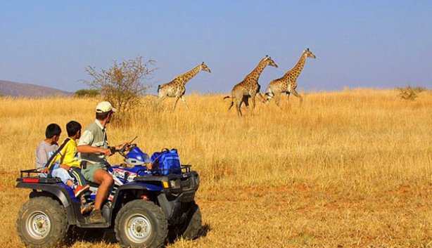 Quad Biking Safari