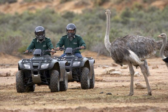 Quad Biking Safari - Image 2
