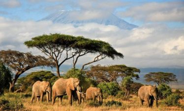 3-Day Wildlife Viewing