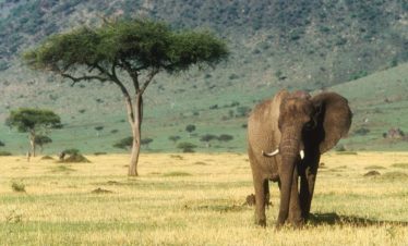 11-Day The Ultimate Riding Safari
