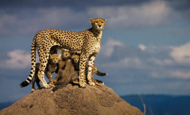 5-Day Mount Kenya & Masai Mara Adventure