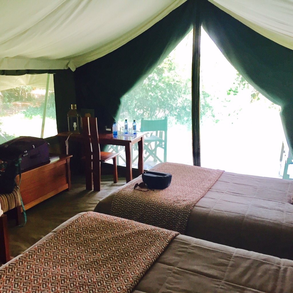 Ilkeliani Camp - Image 2