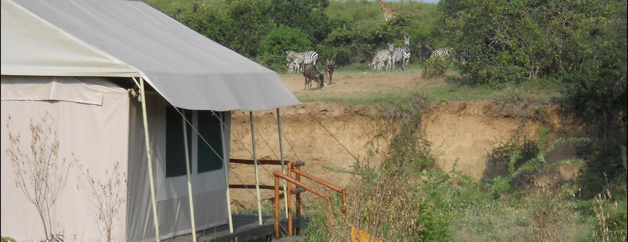 Mara Eden Safari Camp - Image 3