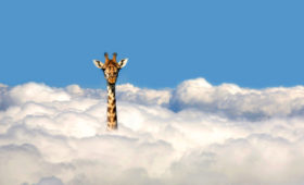 the Magical Kenya Signature Experience (MKSE)