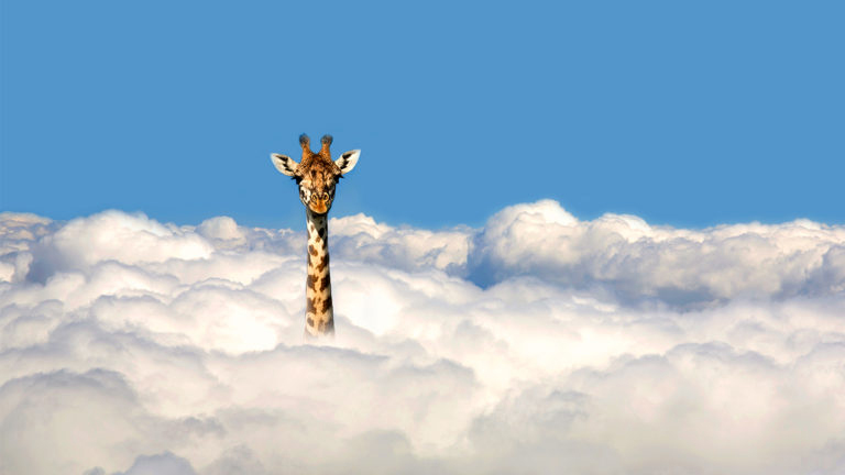 the Magical Kenya Signature Experience (MKSE)