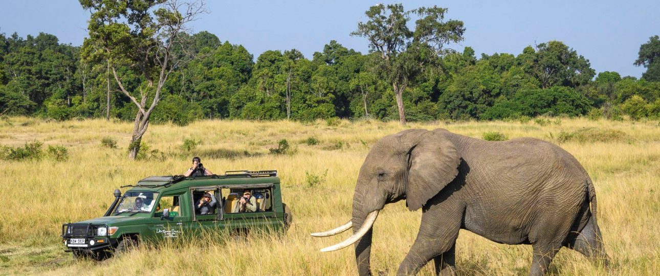 Kenya crowned world’s leading safari destination