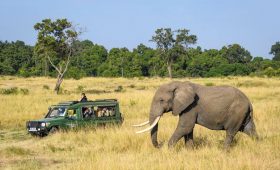 Kenya crowned world’s leading safari destination