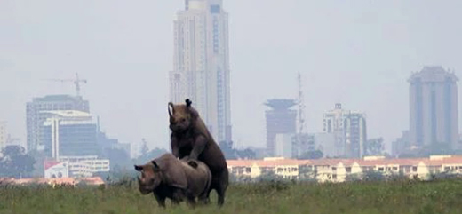 Nairobi National Park
