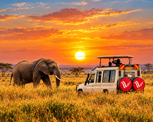 A quintessential safari experience