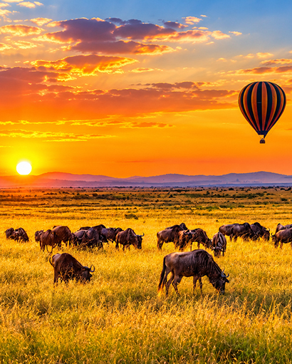 A Bush Honeymoon