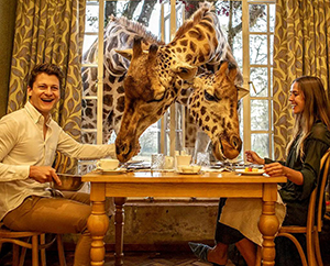 Unrivalled Wildlife