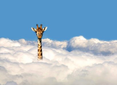 the Magical Kenya Signature Experience (MKSE)